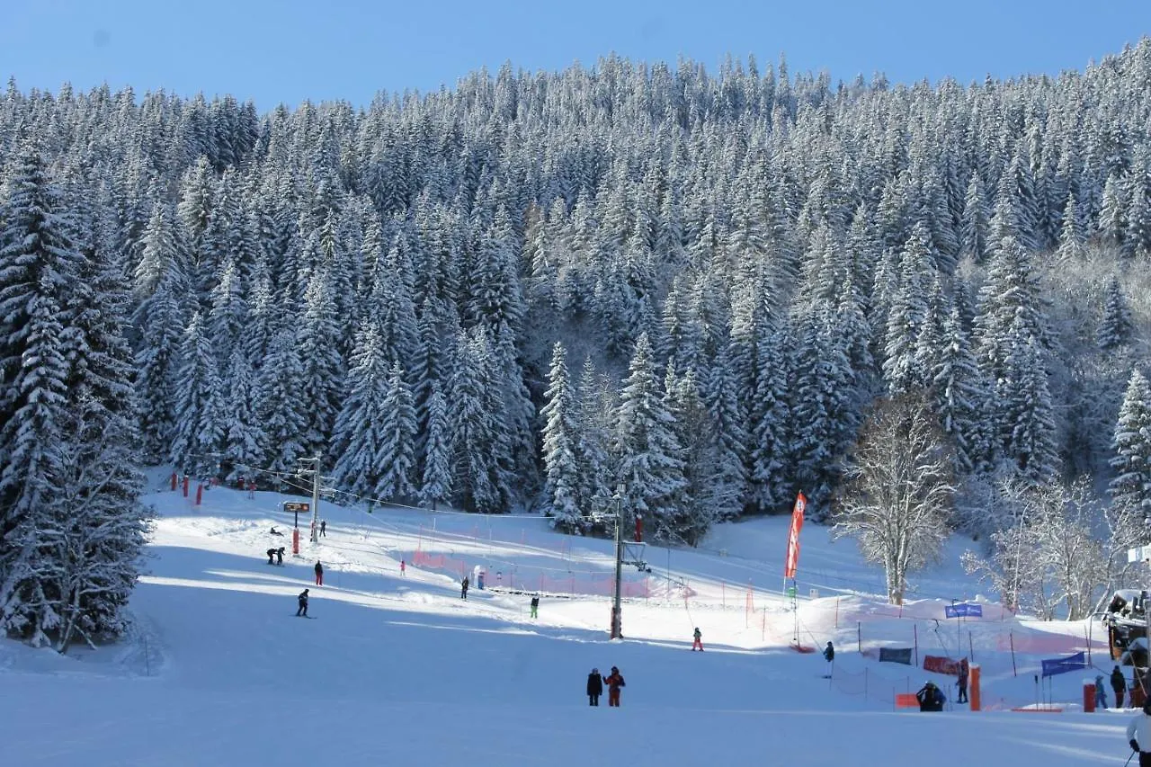 Apartment Residence Grand Bois A1118 Cles Blanches La Tania
